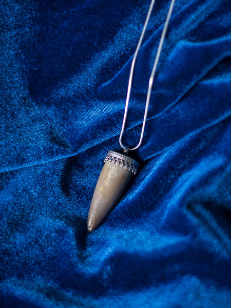 Belemnite fossil silver pendant